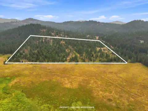 Treed Recreational Land