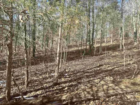 Lake View Residential Lots