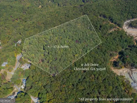 17 Acres in Cleveland, Georgia