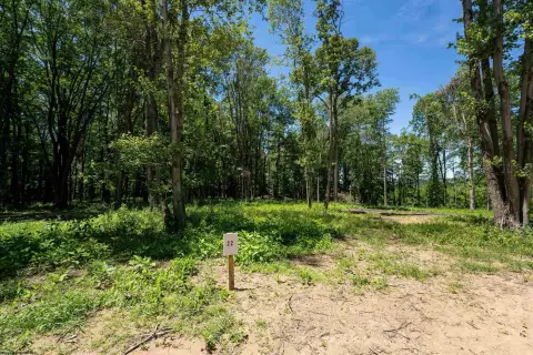 Residential Land in Cheat Lake