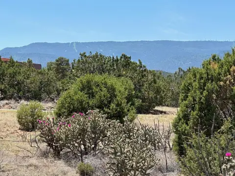 Sandia Park Land with Views