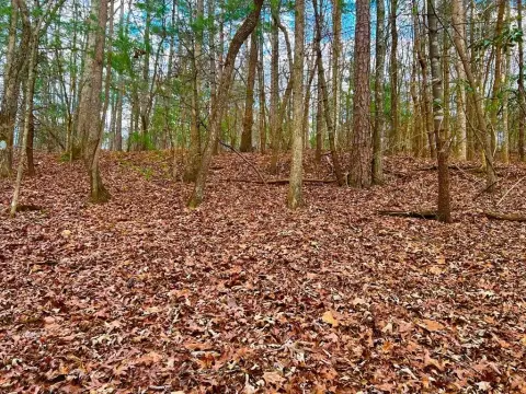 Coosawattee River Resort Vacant Lot