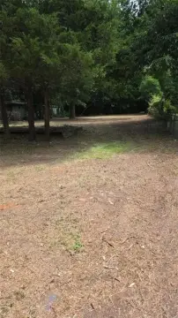 Land For Sale Palestine, TX