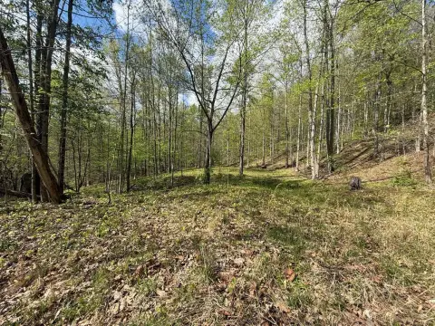 Wooded Hunting Land