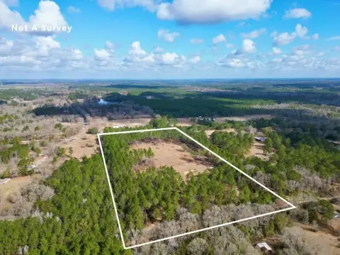20.38 Acres in Carriere, MS