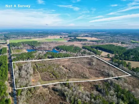 Secluded 35 Acres in Poplarville