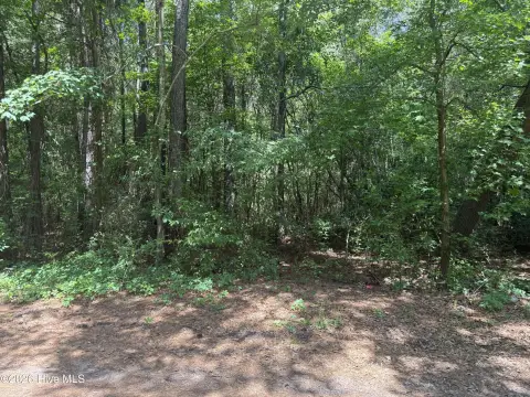 Wallace, NC Land For Sale