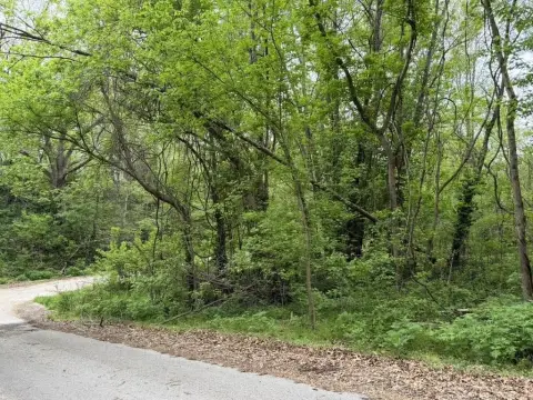 Seligman, MO Commercial Land