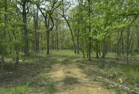 Residential Acreage in Joplin, Missouri
