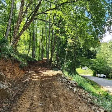 Wooded Mountain Land Parcel