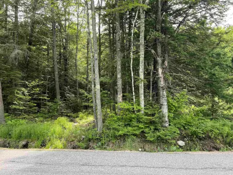 Rural Recreational Land Parcel