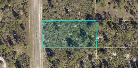 Lehigh Acres Half-Acre Lot