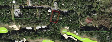 Citrus Springs Oversized Homesite