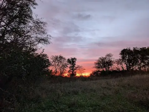 Secluded Acreage with Development Potential