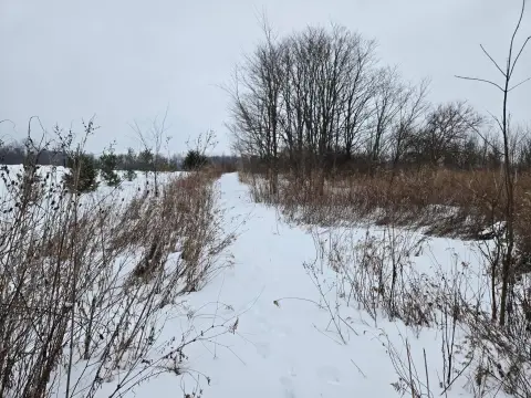 Residential Land in Centerburg, OH