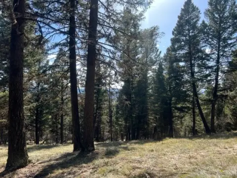 Seeley Lake Wooded Land Parcel