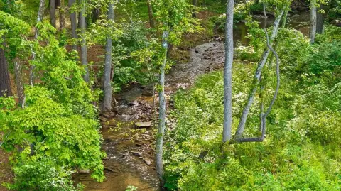 Creek Front Lot in Talking Rock