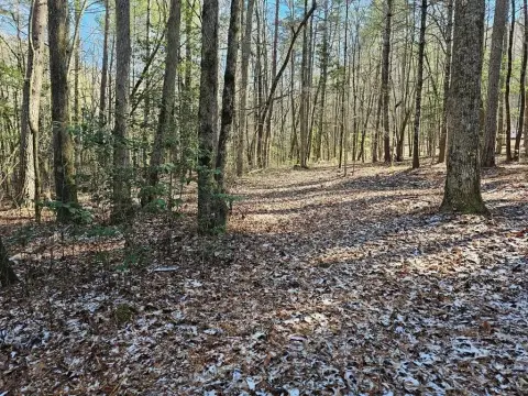 3.34 Acre Wooded Vacant Lot