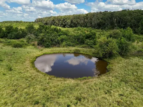 Ozark, MO 33-Acre Land