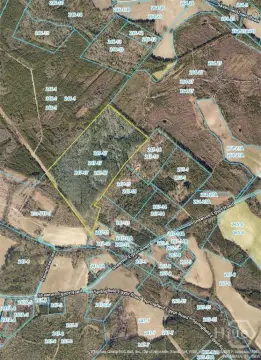 Agricultural Land with Mature Pines
