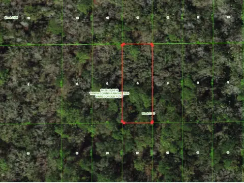 Wesley Chapel Land Opportunity