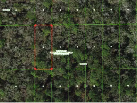 Wesley Chapel Land Opportunity