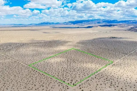 Joshua Tree Land Opportunity