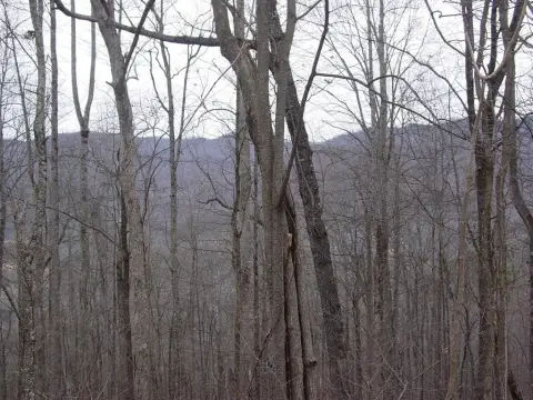 Hiawassee Vacant Lot with Views