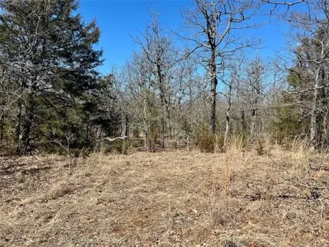 Wooded 60 Acres Hunting Land