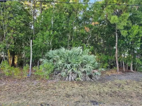 Residential Lot in Port St. Lucie