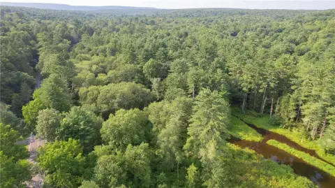 Wooded Waterfront Land