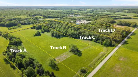 81.5 Acres in Conway, MO