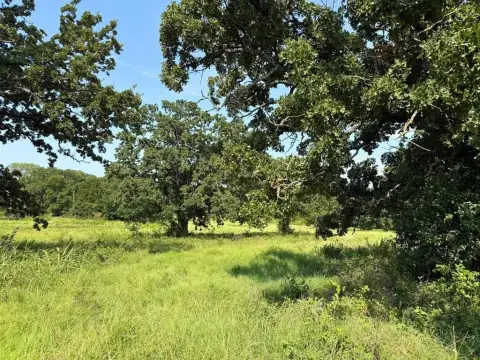 Secluded Land in Alvarado, TX