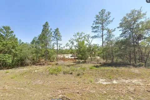 Single-Family Zoning Lot in R1