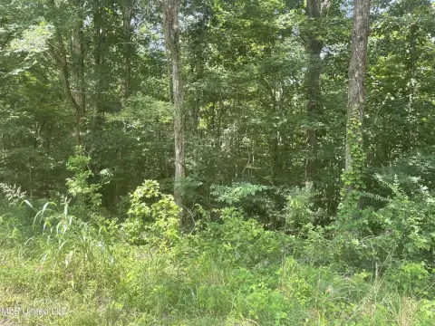 Residential Land in Sarah, MS