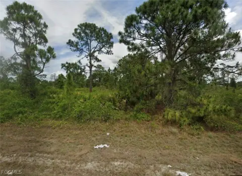 Residential Land in Lehigh Acres