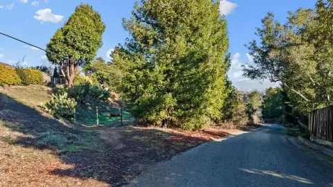Residential Land Opportunity in Belmont