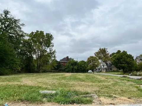 Residential Land in Thriving Detroit
