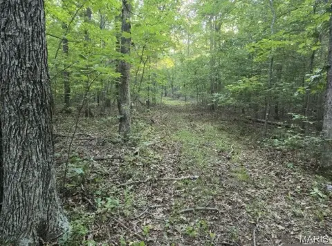 Ozark Foothills 7-Acre Tract