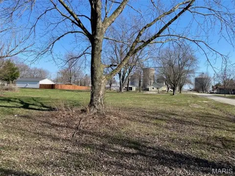 Residential Land in Witt, IL