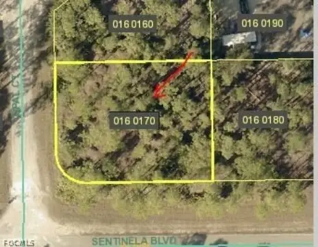 Residential Lot in Lehigh Acres