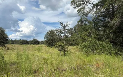 Fenced Pastureland