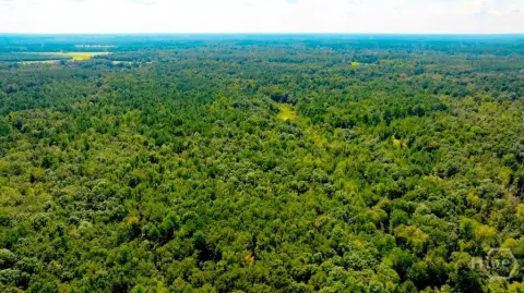Wooded Hunting Land with Pond