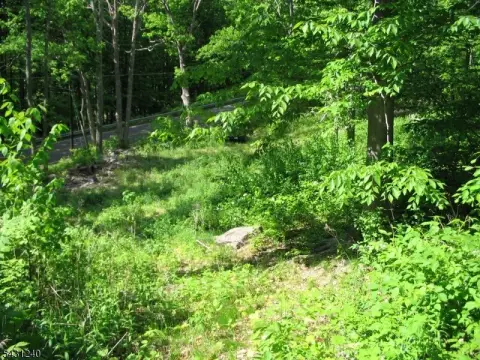 Wantage Twp. Wooded Land Parcel