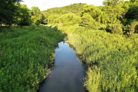 Waterfront Agricultural Land Tract