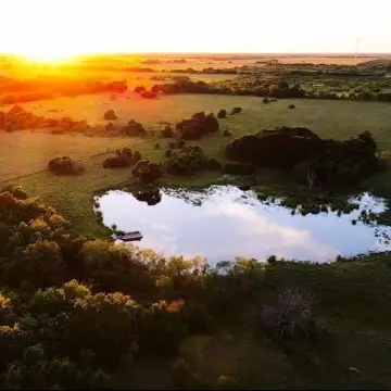 Dawson, TX Improved Land