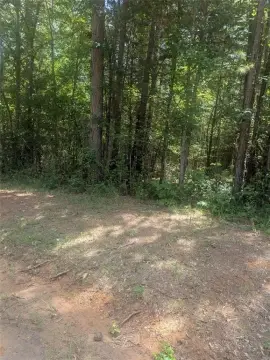 9.2 Acres Unrestricted Hawkins Land