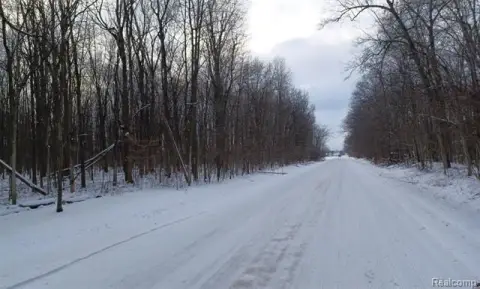 42 Acres Vacant Land