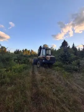 Wooded Recreation Land