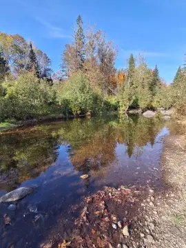 Recreation Land with Trout Brook